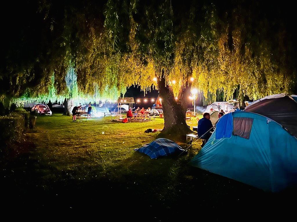 urokliwy sulicamp noca