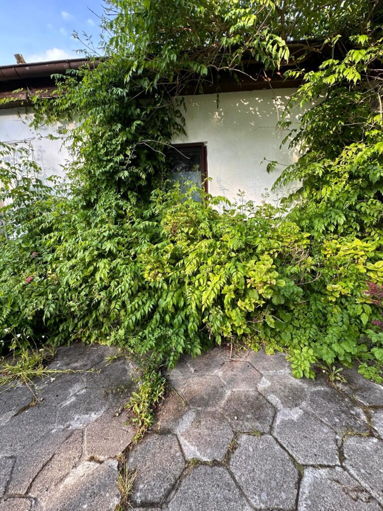 zarastajaca recepcja zaniednaby osrodek wypoczynkowy zacisze w ustce