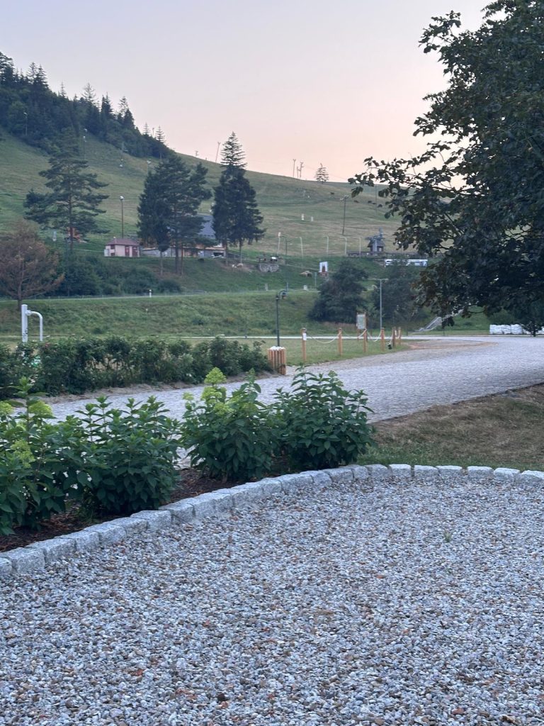 widok z kempingu polana sosny na krowki i owieczki