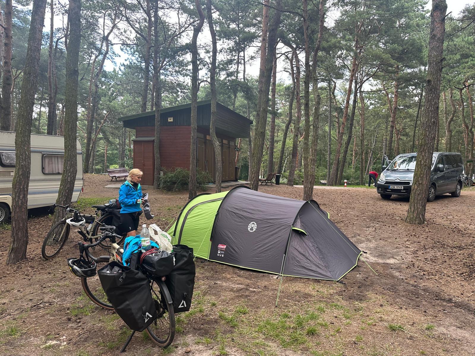 camping Stogi nr 218